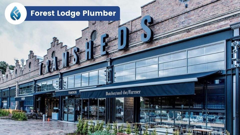 Forest Lodge Plumber